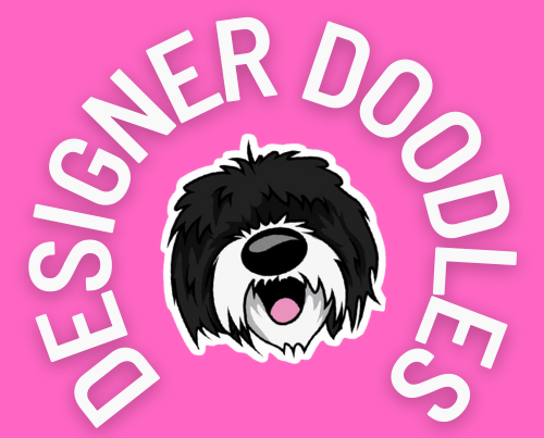 Designer Doodles 6+website-design