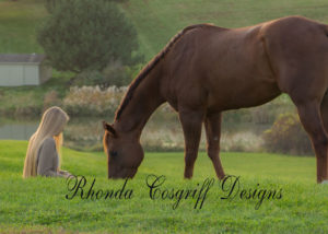 Equine photography by Rhonda Cosgriff Web Designs