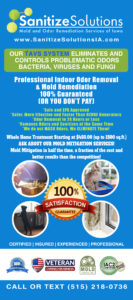 Sanitize Solutions rack card by Rhonda Cosgriff Graphic Designs in Iowa