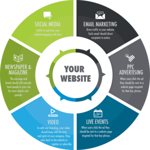Your website is the brain of your business