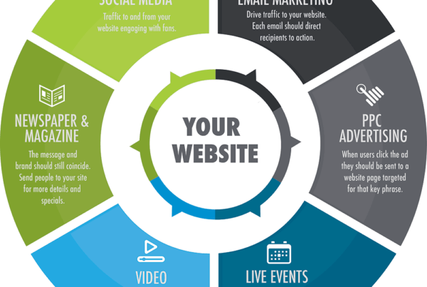 Your website is the brain of your business