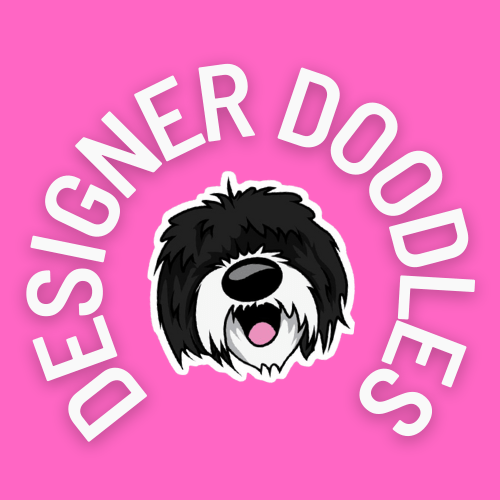 Designer Doodles 6+website-design