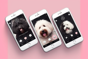 Web.Designer.Rhonda.Cosgriff Mobile UI Design of a sheepadoodle 96e7a627 3a05 43b6 9cad 4bd766677f0b+Iowa-Web-Designer