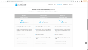 maintpricing+Iowa-Web-Designer