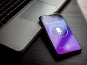 voice search+Iowa-Web-Designer